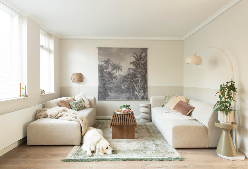 Picture hanging systems for villas in Dubai